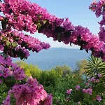Franic Sućuraj