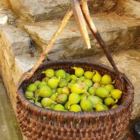 شقة Franic Sućuraj