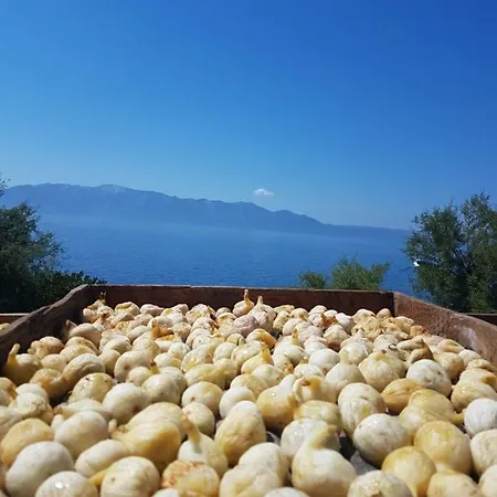 Franic Διαμέρισμα Sućuraj