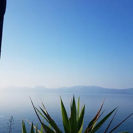 Franic Apartament Sućuraj